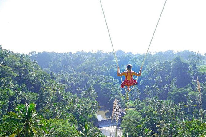 Ubud Jungle Swing, Temple & Waterfall Tour (Private Half Day Tour) - The Sum Up