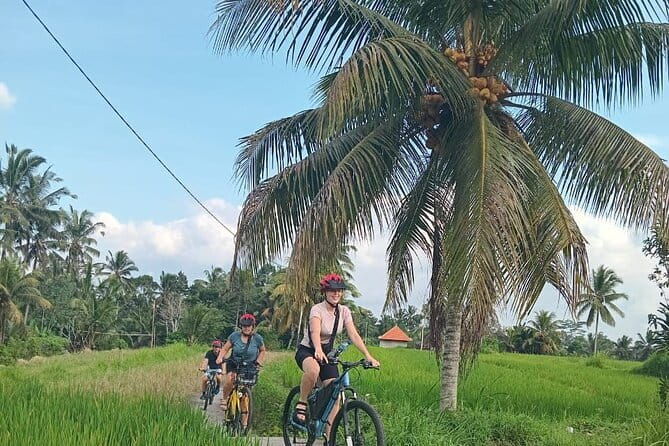 Ubud : Kintamani Downhill Cycling Tour with Lunch - What to Expect from the Experience