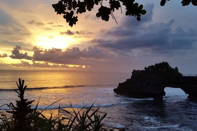 Ubud Kintamani Tour - Who Is This Tour Perfect For?