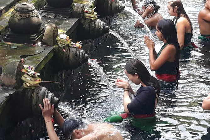 Ubud Kintamani Volcano And Waterfall Private Guided Tour - The Bottom Line: Is It Worth It?