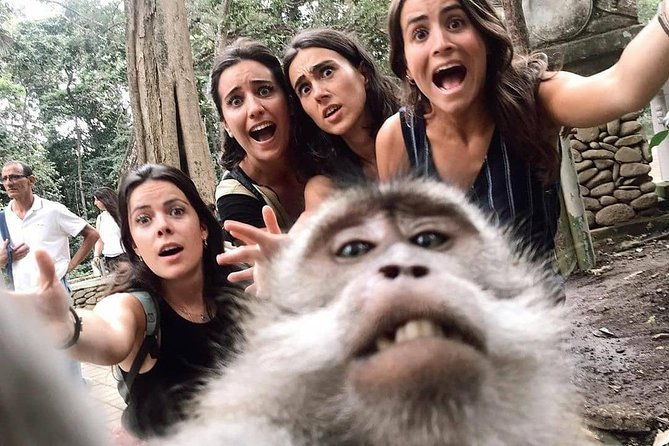 Ubud Monkey Forest, Holy Water Temple & Waterfalls Tours - Who Should Book This Tour?