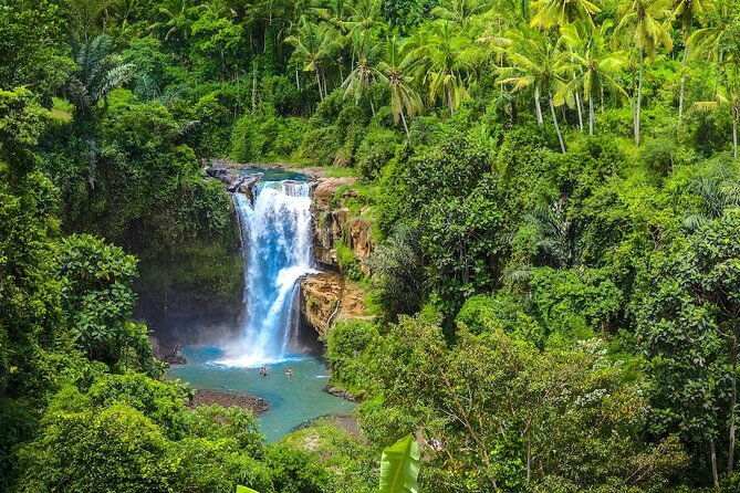 Ubud: Monkey Forest, Jungle Swing, Rice Terrace, and Water Temple - Final Thoughts