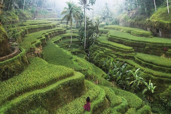 Ubud Private Full-Day Tour - The Sum Up