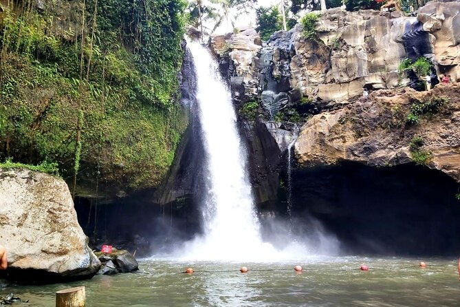 Ubud Private Tour - Best Of Ubud - All Inclusive - Authentic Experiences and Insider Tips
