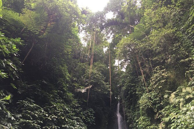 Ubud-Sanur to Menjangan area - FAQ