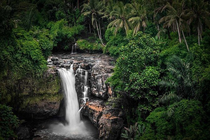 Ubud Tour: Monkey forest, rice terraces, temple, waterfall - Final thoughts