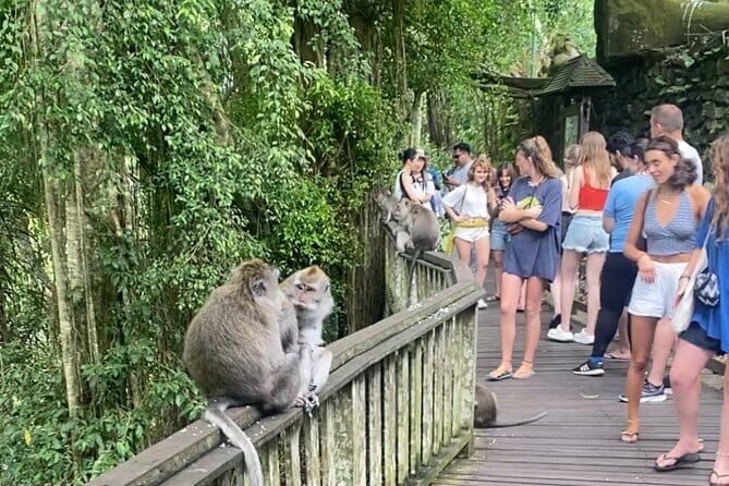 Ubud Tour - Ubud Highlight Culture, Tradition, Nature - Who Will Love This Tour?