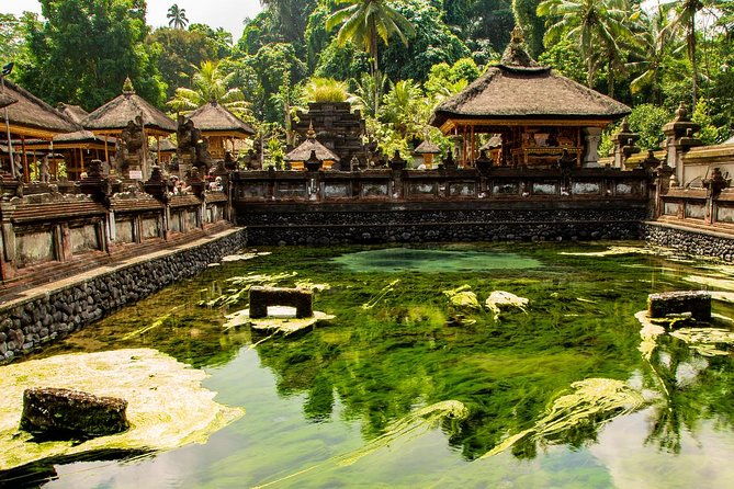 Ubud Village Sightseeing, Famous Paddy Field And Ubud Waterfall - The Sum Up