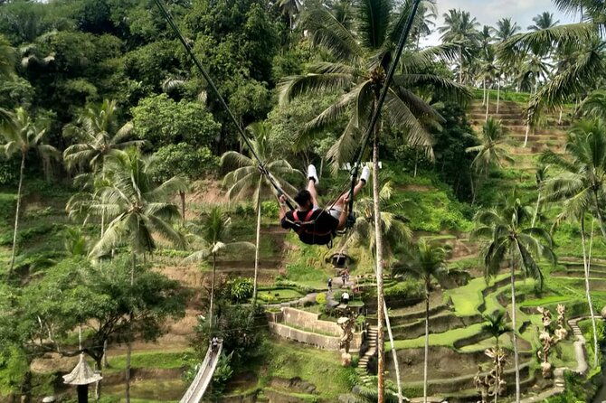 Ubud Waterfall Swing And Spring Temple Private Guided Tour - Who Is This Tour Best For?