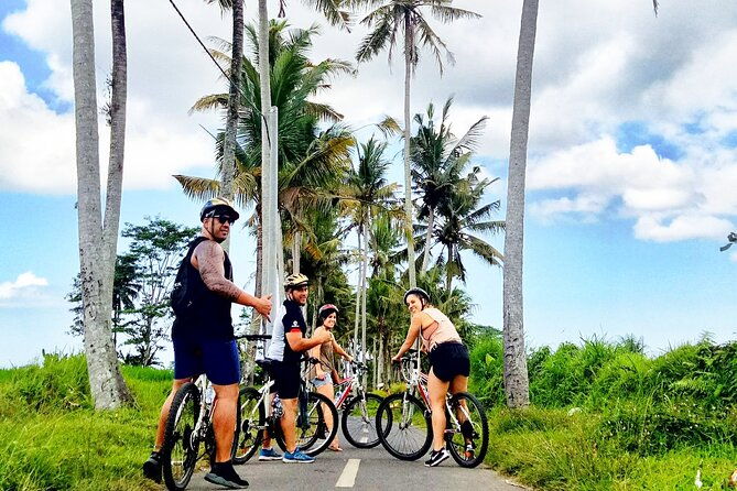 Ubud Wonderful Afternoon Downhill Cycling Tour - Overall Value and Who Will Love It?