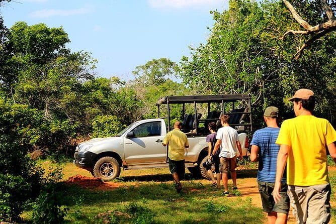 Udawalawa National Park & Orphanage Visit from Hambantota Port - The Value of the Experience