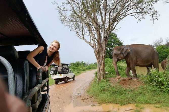 Udawalawe National Park Safari | From Mirissa | Galle | Weligama - The Sum Up