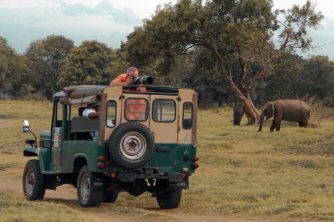 Udawalawe National Park Safari from Mirissa - Practical Tips for Future Travelers
