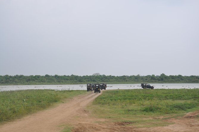Udawalawe National Park Safari from Yala - Practical Tips for Future Travelers