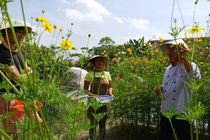 Unique farm to Table cooking class in Saigon - The Sum Up: Is It Worth It?