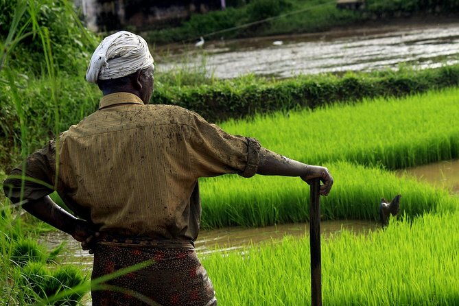 Unique Shimla and Manali tour - From Shimla to Manali: The Scenic Road Trip  