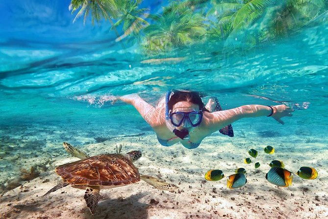 V.I.P Snorkeling & Fishing Tour ( Speed Boat ) Minimum 02 people - Con Se Tre Island (Bamboo Island): Lunch and Lounge