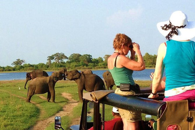 VALUE PACK! One Day Safari Tour to Yala and Udawalawa Parks - Who Is This Tour Perfect For?