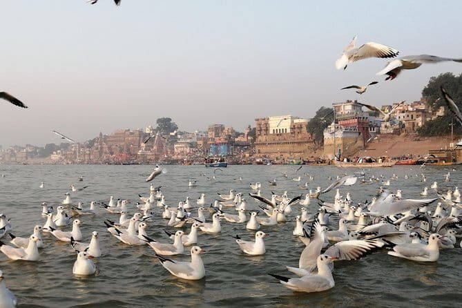 Varanasi 2 Days Tour with Expert Tour Guide - FAQs