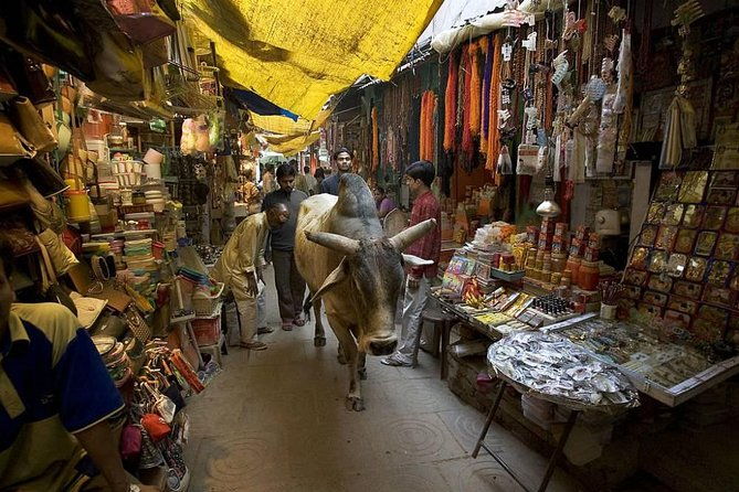 Varanasi Spiritual Walk: Explore Temples, Ghats & Sacred Sites - The Experience: What Makes It Stand Out