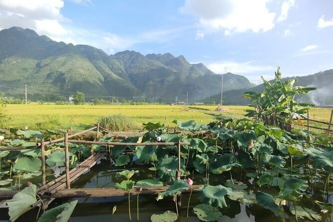 Vietnams 14 Day Journey of Inspiration - Who Will Love This Tour?