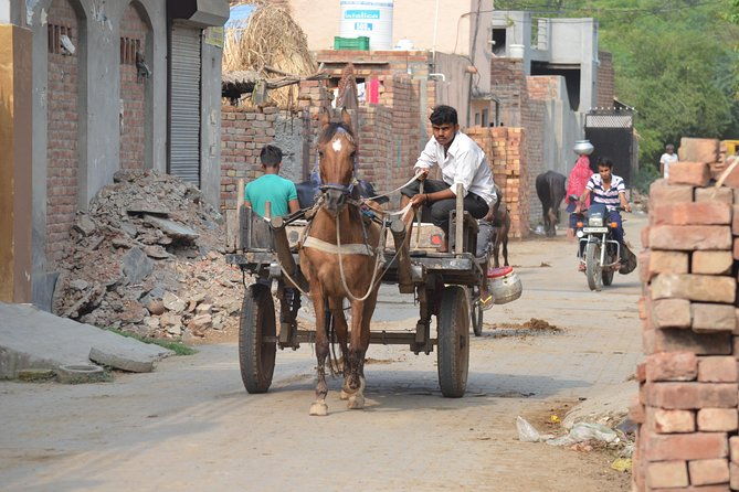 Village Snapshot - Pure and simple - The Small Villages: Sonipat and Kakroi Road