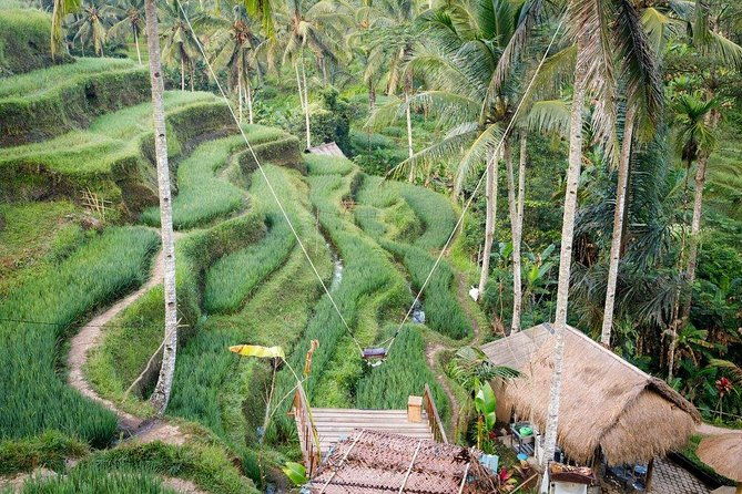 Water Rafting adventure with Jungle Swing & rice terraces - Authentic Experiences and Real Traveler Insights