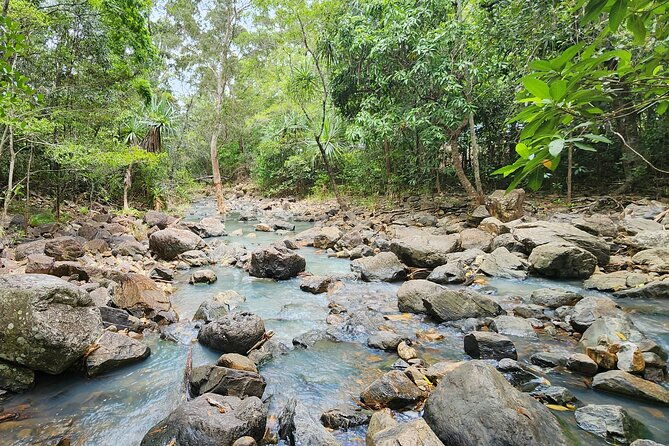 Waterfalls and Bushwalk Eco Adventure - Authentic Reviews and What They Reveal