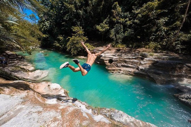 Whale Shark Watching & Tumalog Falls & Kawasan Falls - What Reviewers Say