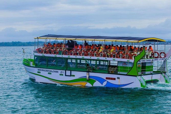 Whales & Dolphin Watching Day Tour including Handunugoda Teafactory - Authentic Traveler Perspectives