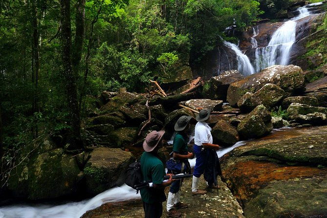 Wild Wonders Of Sri Lanka | 7 Days - Who Is This Tour Best For?