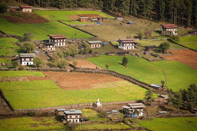 Wonderful Bhutan Tour- 8 Nights 9 Days - FAQs