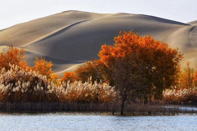 Xinjiang Best Classic Silk Road Tour with Locals - FAQ