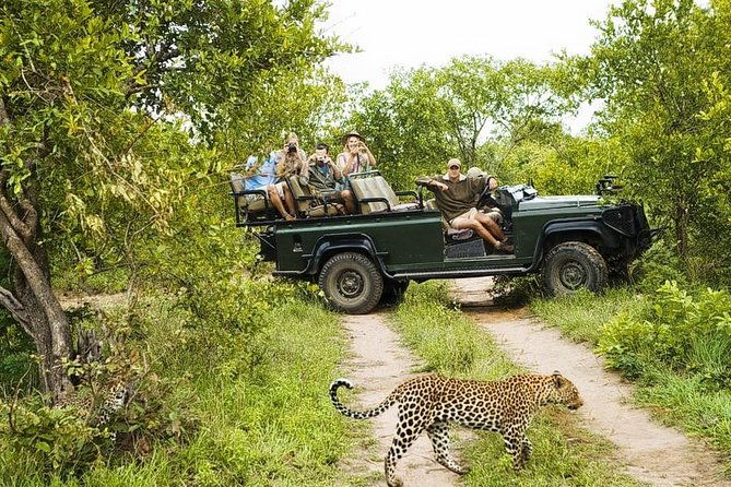 Yala National Park Private Safari (All Inclusive) From Mirissa - Final Thoughts: Is It Worth It?