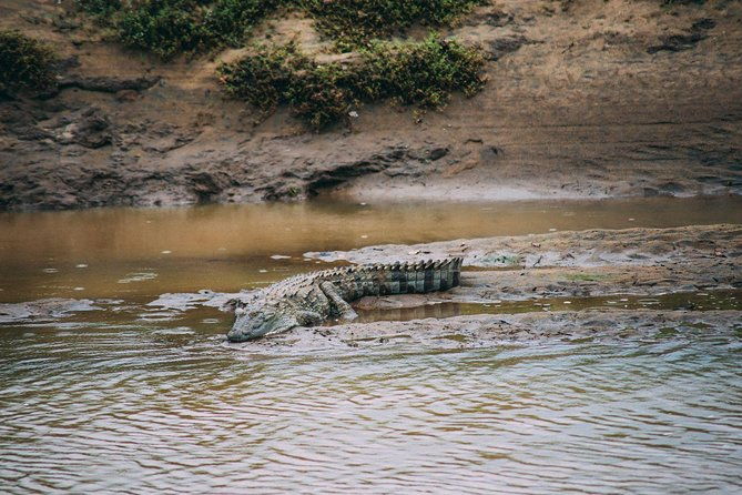 Yala Safari from Hambantota Port by BTM - Private & All Inclusive - The Sum Up