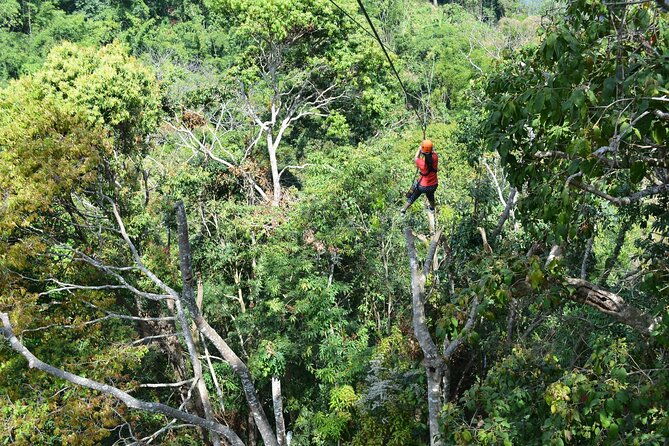 Zipline Adventure at Skyline Jungle Luge Chiang Mai - Who Will Love This Tour?