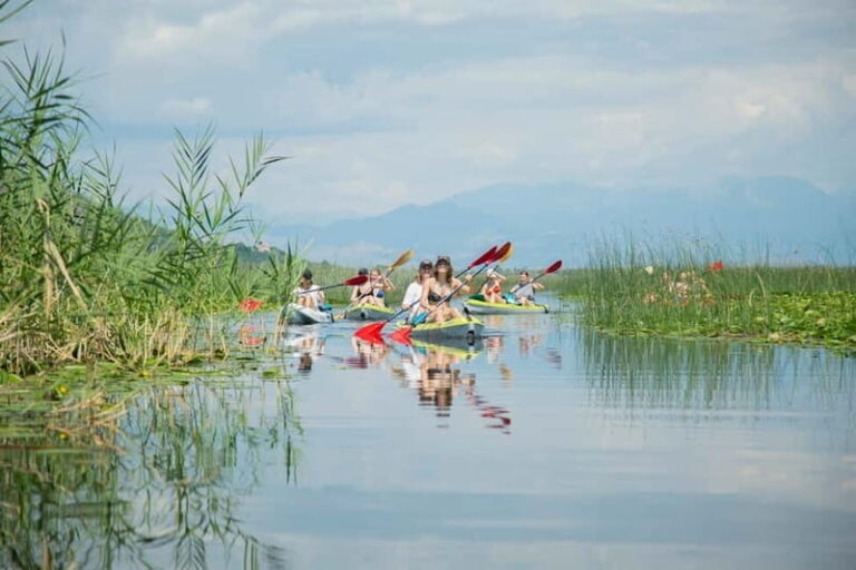 3h Guided Kayaking Adventure on Skadar Lake to hidden spots! - Birdwatching and Nature Ecology