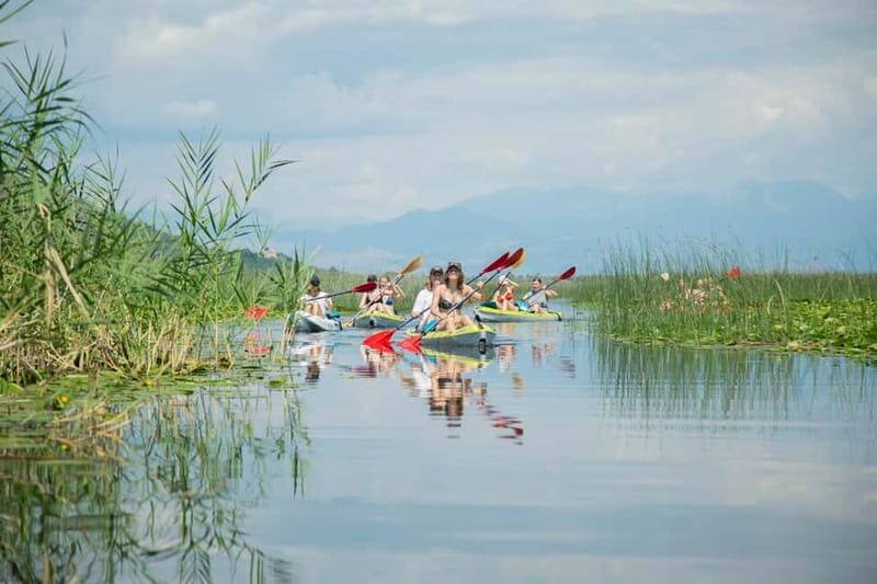 3h Guided Kayaking Adventure on Skadar Lake to hidden spots! - Birdwatching and Nature Ecology
