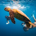3h Snorkeling tour: Marianna shipwreck- Parthena- Kastraki - Practical Details & What to Expect