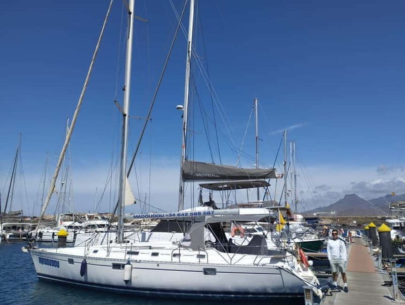 3h Whale Watching Private tour Beneteau Oceanis 440 - What Makes This Tour Stand Out?