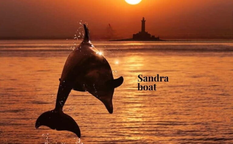 3hours Dolphin Sunset watching with unlimited drinks +dinner - The Itinerary in Detail