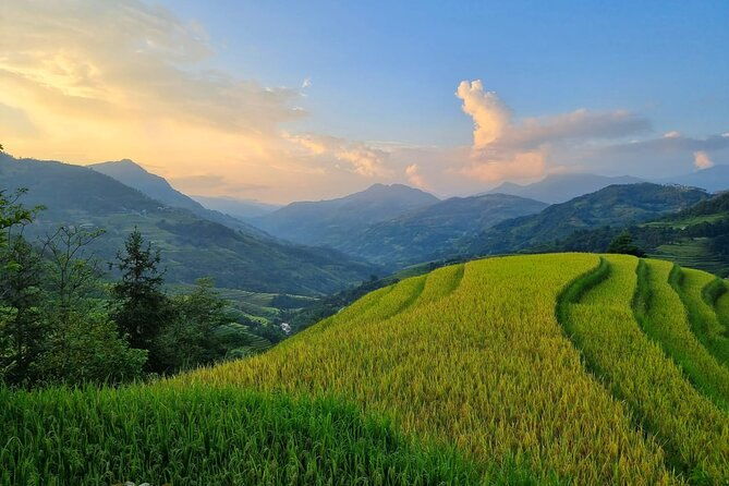 4 Days Trekking Hoang Su Phi, Ha Giang. Private Hiking Group - Key Points