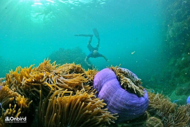 4 Islands & 2 Reefs - Discovery Snorkeling & Relaxing (MAX 12) - The Experience: A Closer Look at What You Can Expect