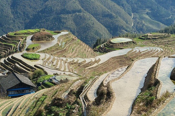 1-Day Longji Terrace Fields-Pingan village Tour with the English Speaking Driver - Cost and Value Analysis