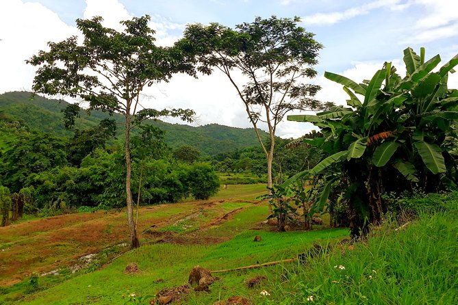 1 Day Trekking Group Tour With Bamboo Cooking / Chiang Rai - Final Thoughts