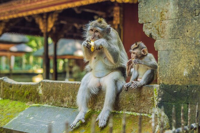 1-Day Ubud Tours All-Inclusive - Who Is This Tour Best For?