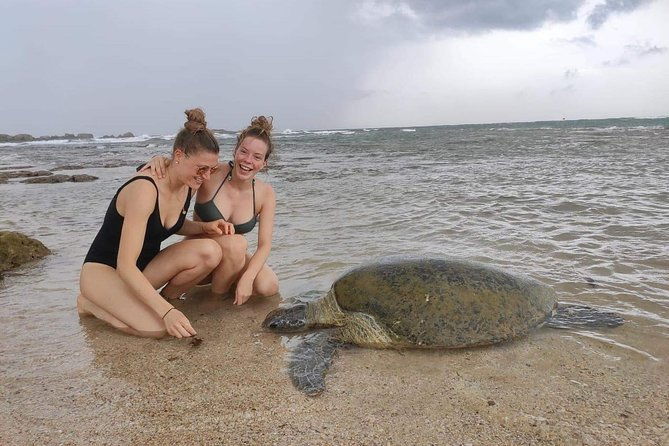 10 Days Tour in Sri Lanka (Hotels with Breakfast & Luxury Car) - Final Thoughts