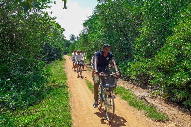 100 Km Sporting Cyling Tour - The Sum Up: Who Is This Tour Perfect For?