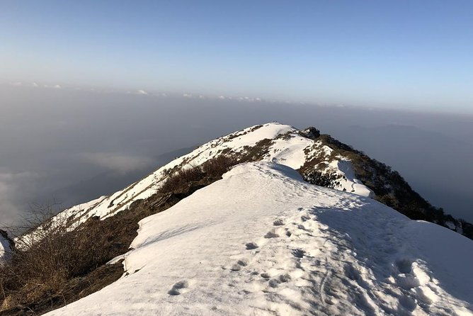 14-Day Private Annapurna Base Camp Trek - Food and Accommodation: Simple, Satisfying, and Well-Managed