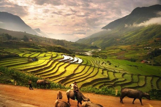 15-Day Majestic Vietnam FULL Package - 68% OFF + Bonuses - FAQ About the 15-Day Majestic Vietnam Full Package